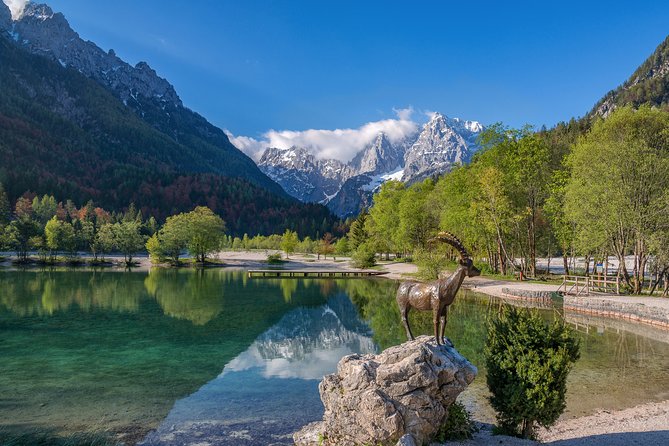 Kranjska Gora Mountain Biking - Key Points