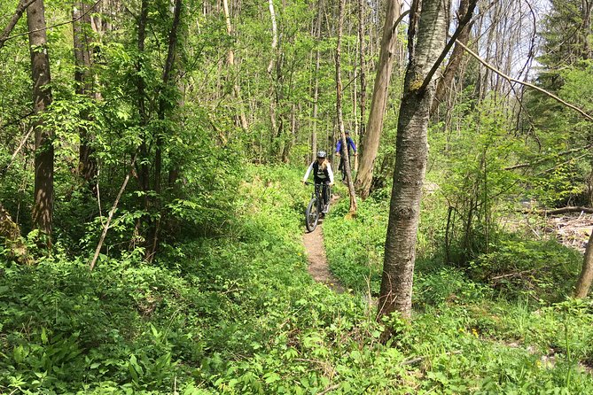 Kranjska Gora Mountain Biking - Location and Pricing
