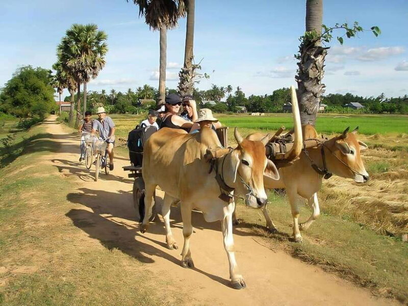 Kratie: Koh Trong Island Cycle Tour With Snacks - Tour Highlights