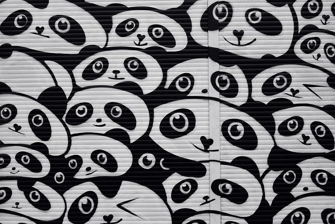 Kreuzberg Private Walking Tour: Immigrants, Artists & Hipsters - Trendy Markets and Shops