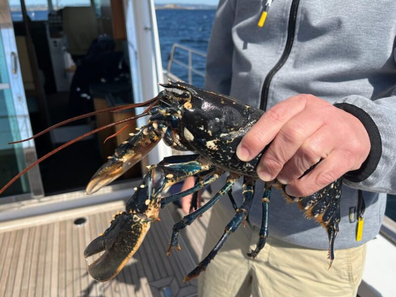 Kristiansand: Lobster Safari and Island Visit - Meeting Point and Language