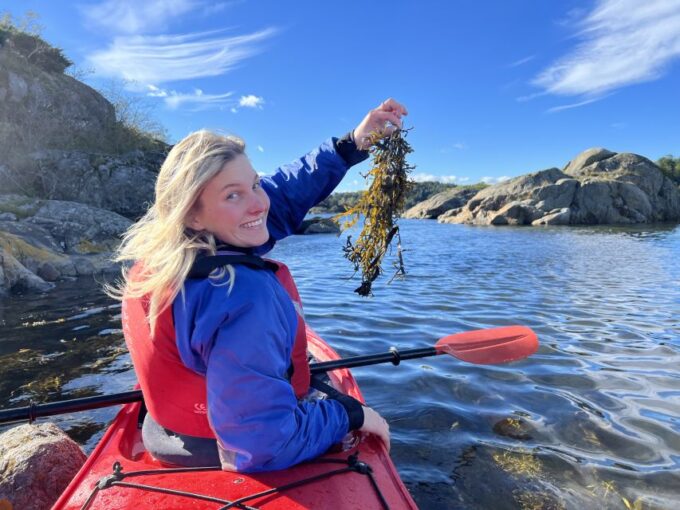 Kristiansand: Scenic Double Sea Kayak Tour Around Odderoya - Cancellation Policy and Availability