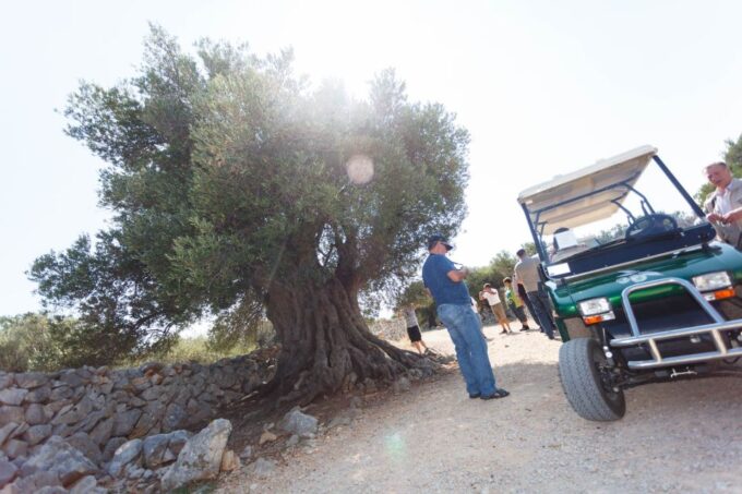 Krk: Boat Trip to Rab & Pag With Sightseeing & Swimming - Departure and Arrival Details