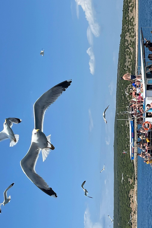 Krk: Golden Bay, Blue Cave, & 4 Islands Cruise With Swimming - Good To Know