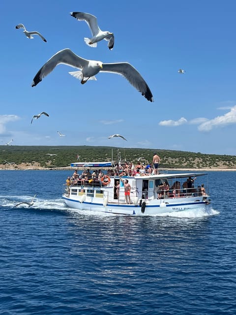 Krk: Golden Bay, Blue Cave, & 4 Islands Cruise With Swimming - Destinations and Stops