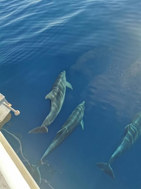 Krk: Golden Bay, Blue Cave, & 4 Islands Cruise With Swimming - Frequently Asked Questions