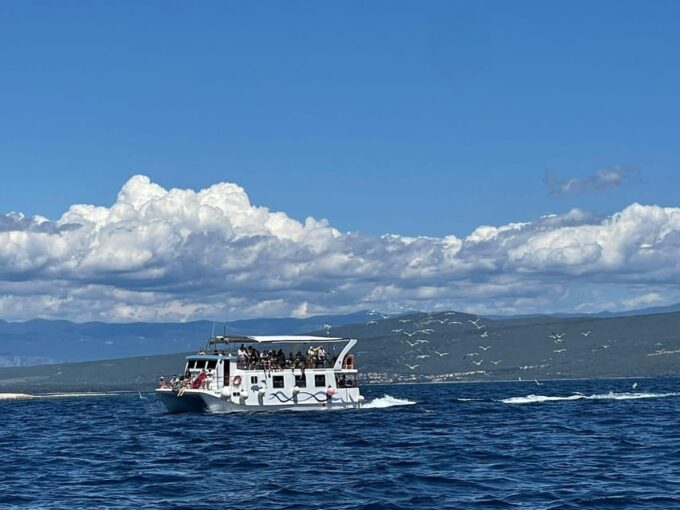Krk: Golden Beach and Blue Cave 4 Islands With Welcome Drink - Wildlife Viewing and Photo Ops