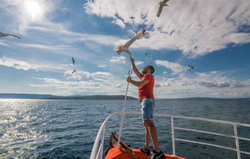 Krk: Golden Beach and Plavnik Cave Cruise With Welcome Drink - Important Information