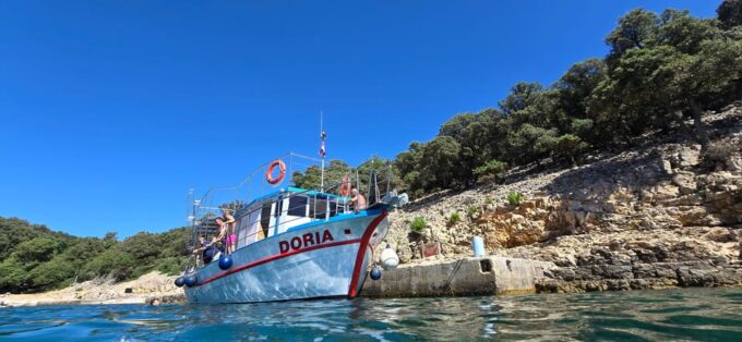 Krk: Krušija Bay, Blue Cave, and Golden Beach Boat Trip - Wildlife and Dolphin Sightings