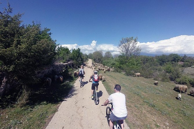 Krka Nationa Park by Electric Bike - Feedback and Recommendations