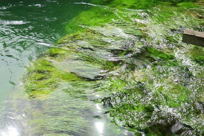 Krka Waterfalls Luxury Tour for Singles or Couples - Explore Croatias Beauty