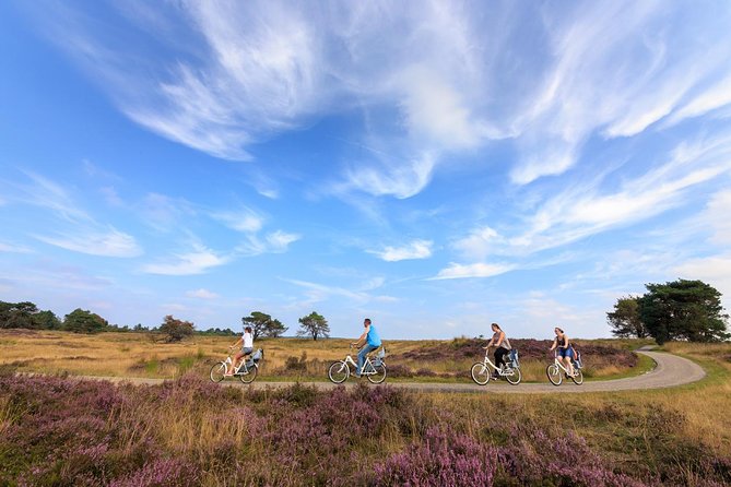 Kröller Müller Museum and Hoge Veluwe National Park Small Group Tour - Museum Highlights