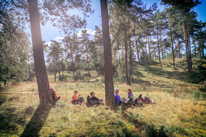 Kröller Müller Museum and Hoge Veluwe National Park Small Group Tour - Booking and Cancellation
