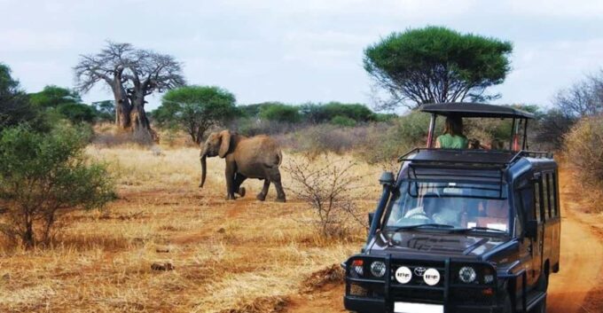 Kruger N Park & Blyde River Canyon 4DAY Tour Fr Johannesburg - Wildlife Experience