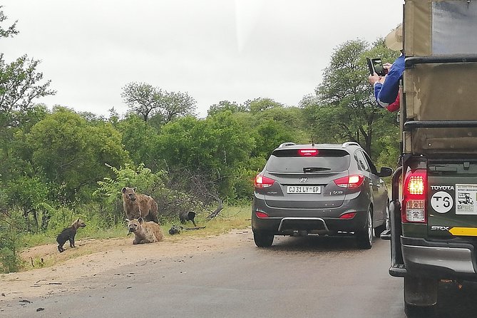 Kruger National Park 2 Days 1 Night Magical Safari From Johannesburg Private - Pickup Locations