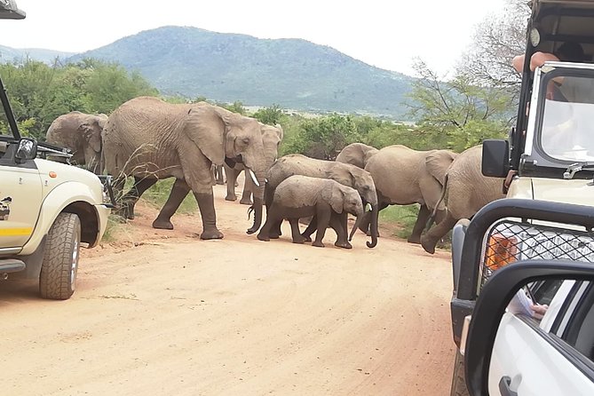 Kruger National Park 2 Days 1 Night Magical Safari From Johannesburg Private - Pricing and Cancellation