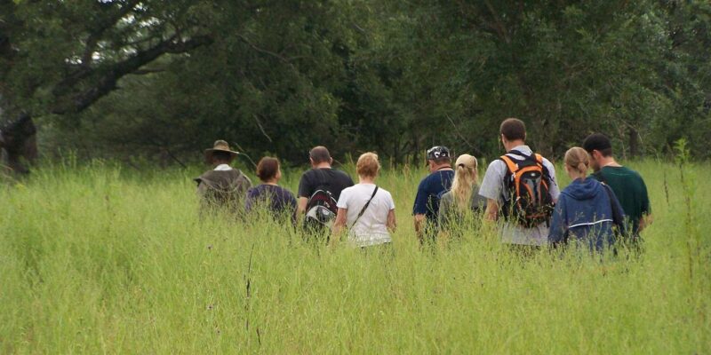 Kruger National Park: 3-Day Essence of the Kruger Safari - Included Amenities