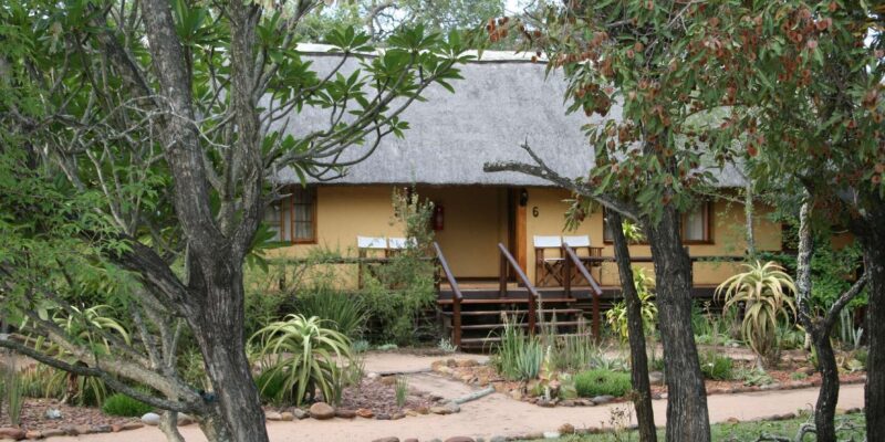 Kruger National Park: 3-Day Essence of the Kruger Safari - Wildlife and Habitat