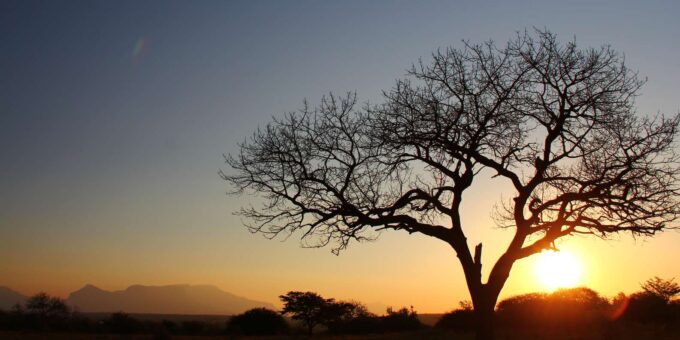 Kruger National Park: 3-Day Essence of the Kruger Safari - Frequently Asked Questions