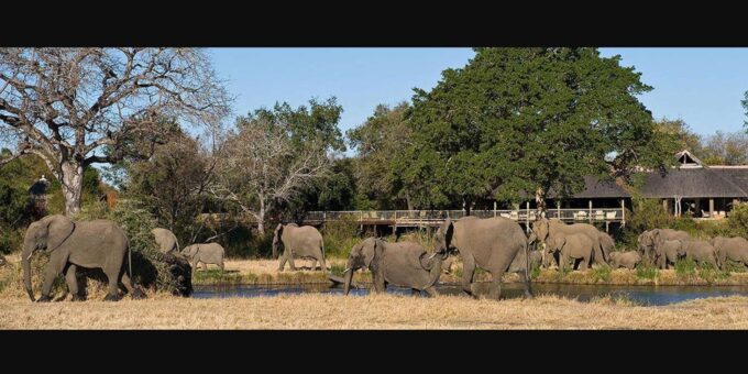 Kruger National Park 3 Day Safari Fr Johannesburg & Pretoria - Wildlife Highlights