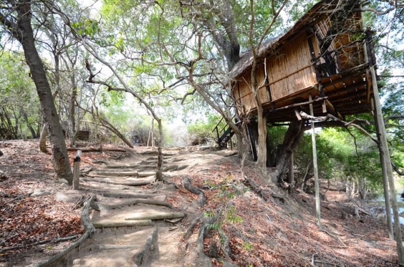 Kruger National Park: 3-Day Safari Tour and Treehouse Stay - Key Points