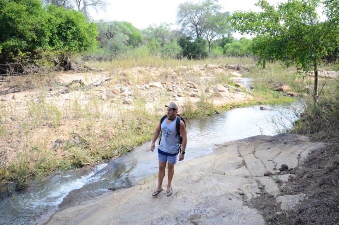 Kruger National Park: 3-Day Safari Tour and Treehouse Stay - Bush Barbecue Dinner