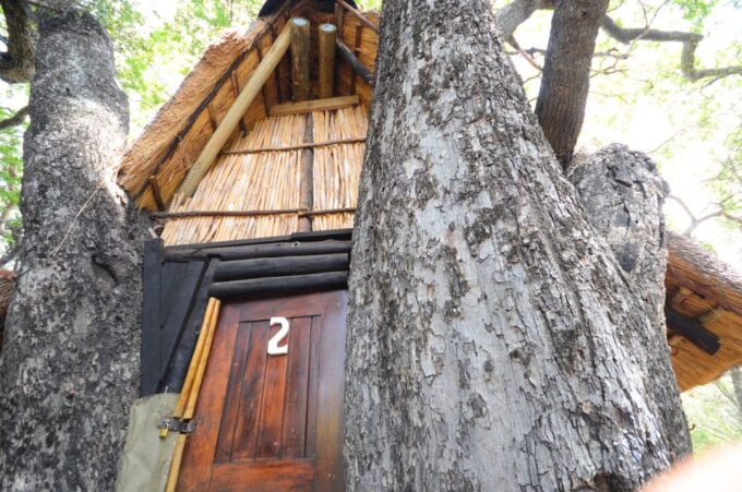 Kruger National Park: 3-Day Safari Tour and Treehouse Stay - Frequently Asked Questions