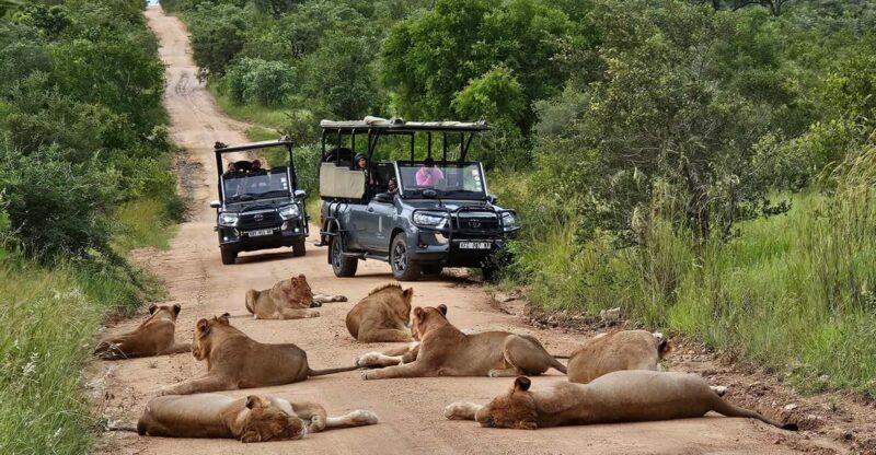 Kruger National Park: 3 Day Tour From Johannesburg/Pretoria - Itinerary Highlights