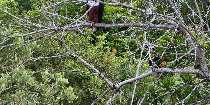 Kruger National Park: 3 Day Tour From Johannesburg/Pretoria - Important Information