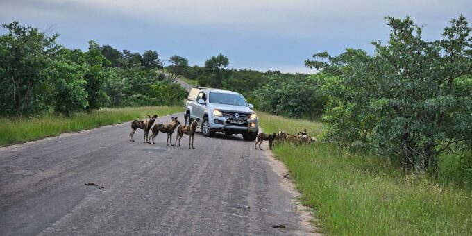Kruger National Park: 3 Day Tour From Johannesburg/Pretoria - Frequently Asked Questions