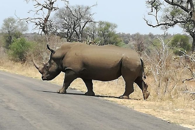 Kruger National Park. 3 Days Best Ever Safari From Cape Town - Itinerary and Inclusions