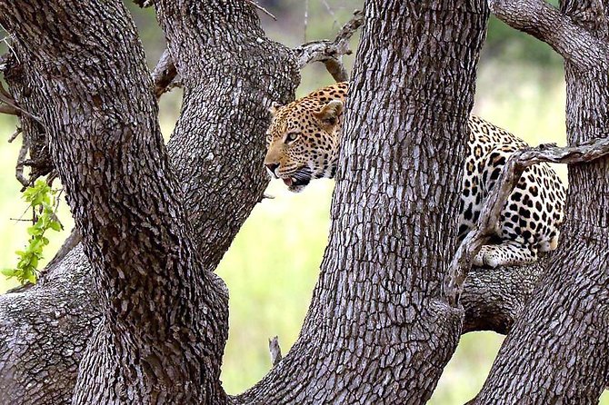 Kruger National Park. 3 Days Best Ever Safari From Cape Town - Accommodation and Amenities