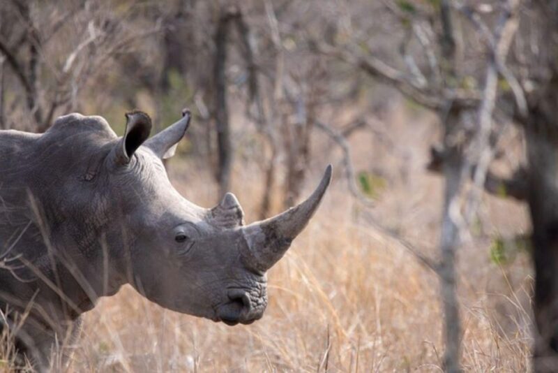 Kruger National Park 3 Days - Key Points