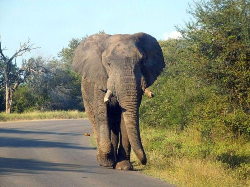 Kruger National Park 3 Days - Historical Significance