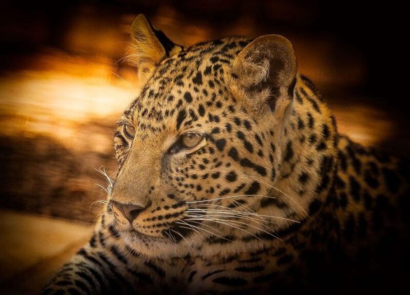 Kruger National Park 3 Days - Geographical Location