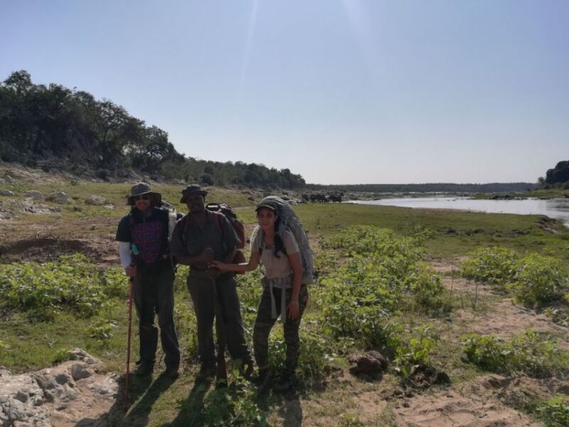 Kruger National Park: 3-Hour Walking Safari - Identifying Animal Tracks