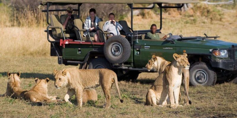 Kruger National Park 4 Day Private Safari From Johannesburg - Key Points