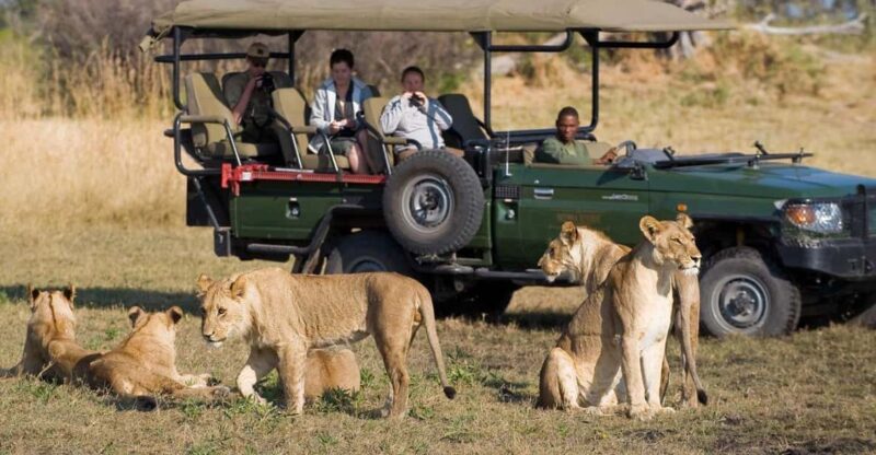 Kruger National Park 4 Day Private Safari From Johannesburg - Encounter the Big 5