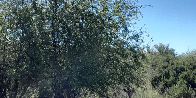 Kruger National Park: 4-Day Private Safari Tour - Key Points