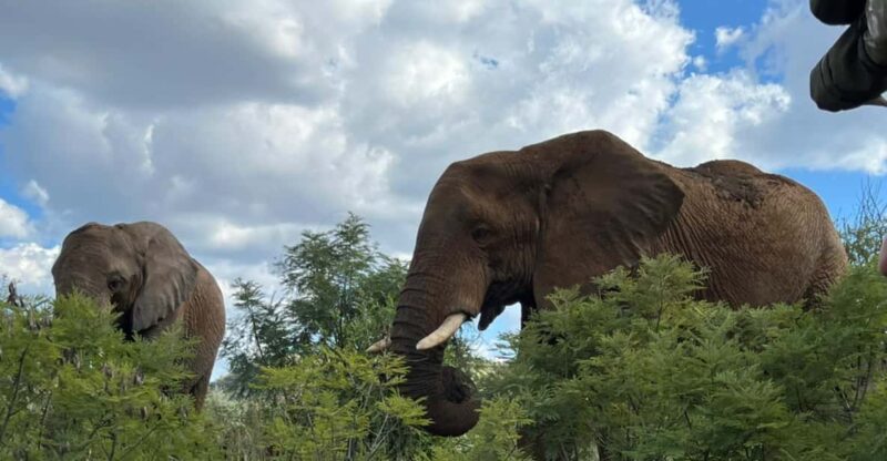 Kruger National Park: 4-Day Private Safari Tour - Itinerary Highlights