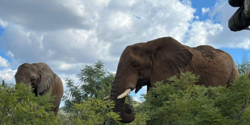 Kruger National Park: 4-Day Private Safari Tour - Payment and Booking