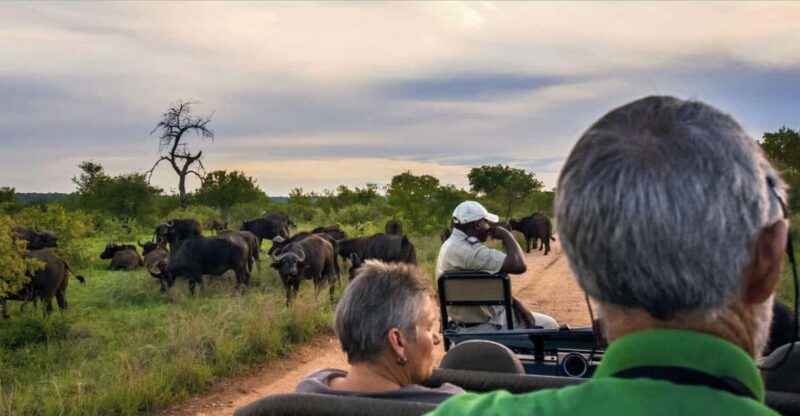 Kruger National Park 4 Day Safari Fr Johannesburg & Pretoria - Detailed Itinerary