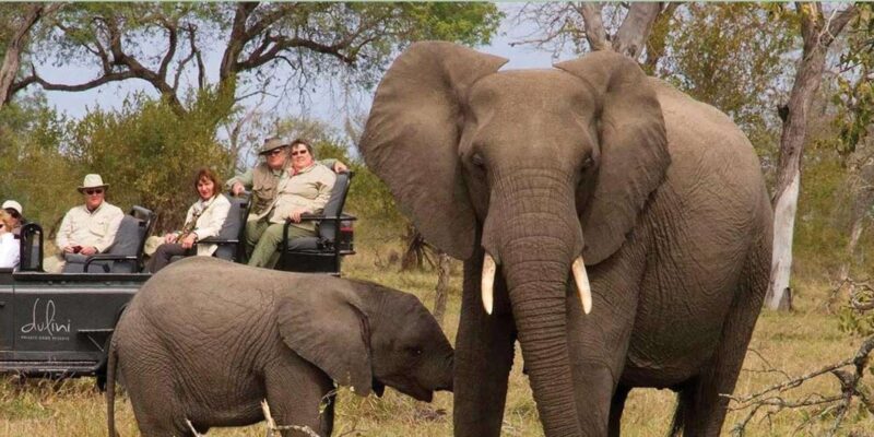 Kruger National Park 4 Day Safari Fr Johannesburg & Pretoria - Safari Experience