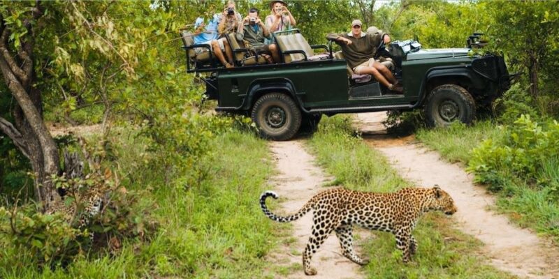 Kruger National Park 4 Day Safari Fr Johannesburg & Pretoria - Wildlife Encounters