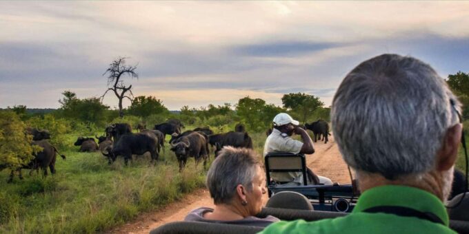 Kruger National Park 4 Day Safari Fr Johannesburg & Pretoria - Booking and Cancellation