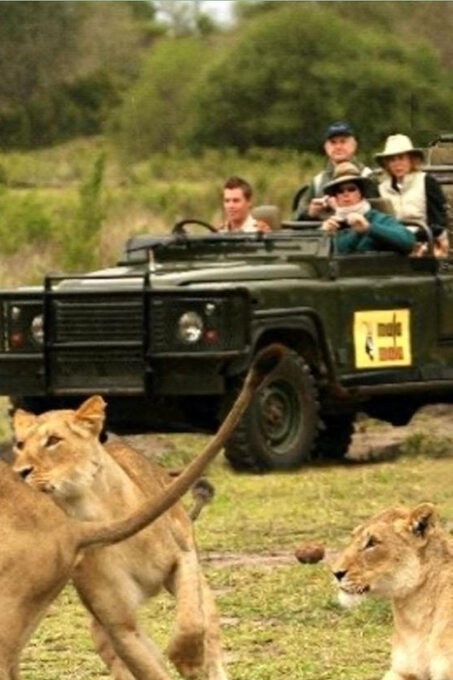 Kruger National Park 4 Day Safari Fr Johannesburg & Pretoria - Destination Highlights