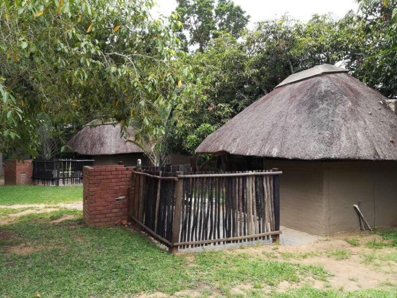 Kruger National Park - 4 Day Safari Tour - Overview of the Itinerary