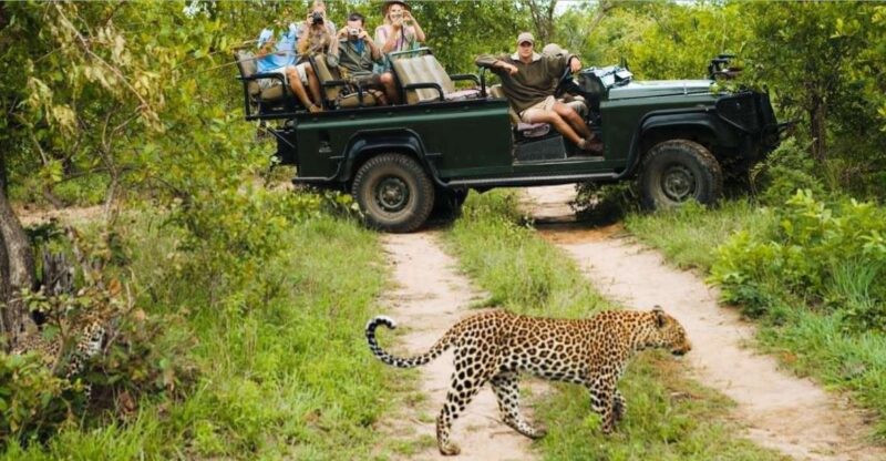 Kruger National Park - 4 Day Tour From Johannesburg - Itinerary Highlights
