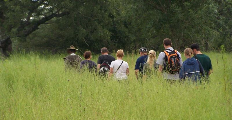 Kruger National Park: 6-Day Epic Kruger Park Safari - Itinerary Highlights