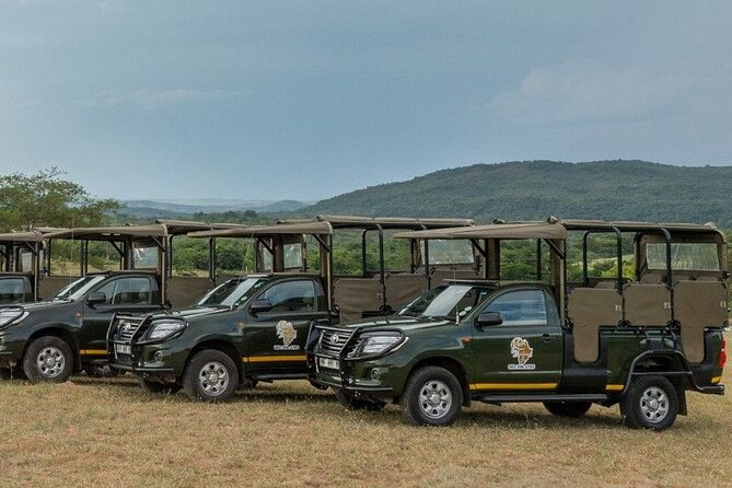 Kruger National Park Afternoon Private Safari - Cancellation Policy